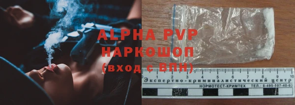 молекула духа Пересвет