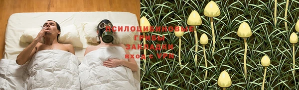 эйфоретик Аркадак