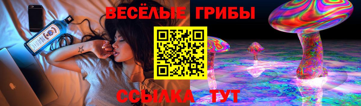 Псилоцибиновые грибы Psilocybine cubensis Арсеньев