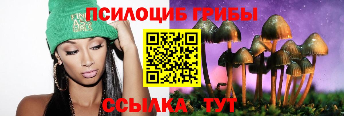 Псилоцибиновые грибы Psilocybe  Арсеньев 